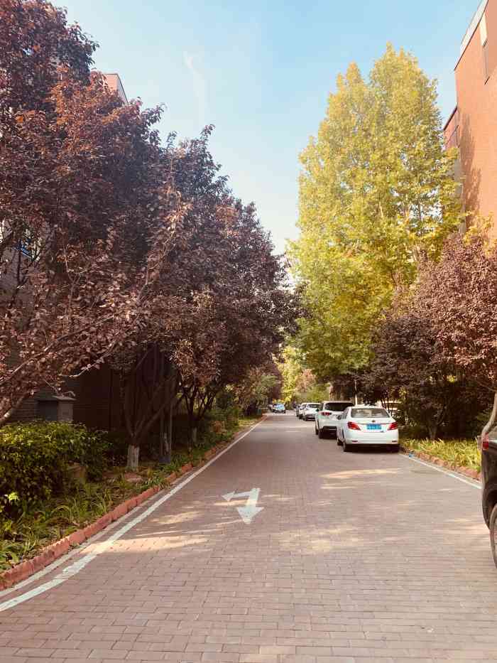 领秀新硅谷b区-"距离公司最近的小区,走路还蛮方便的,就是.