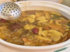 -菌林天下·野生菌汤锅