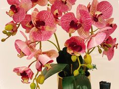 -楚禾宴·家宴(光谷大道店)