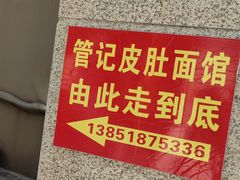 -管记皮肚面