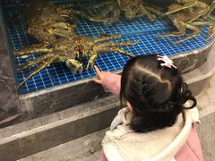 -骏莱海鲜鱼港(五角场店)