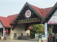 -上海海湾国家森林公园