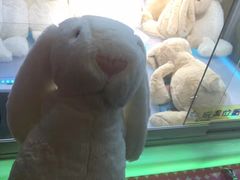 -PAWTOY爪e玩偶店(天兴罗斯福店)