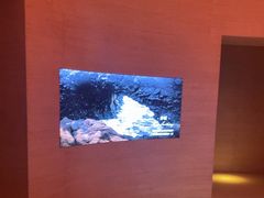 -舒小悦·舒养SPA·古法推拿(光环中心店)