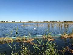 -亿利库布其七星湖沙漠生态旅游区