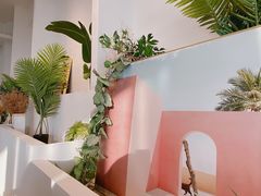-白棠(九方保利大厦店)