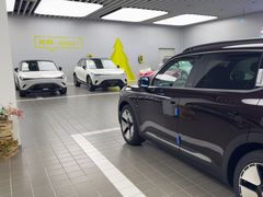 -上海浦东smart汽车全功能店(金桥店)