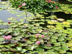 -国家植物园南园