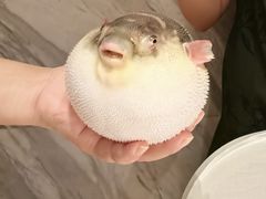 -永安鱼庄·镇江菜(东吴路店)