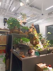 -周忆刺青原创设计定制