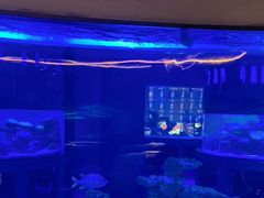 -上和臻品中国菜(花园街店)