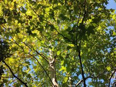 -磐安舞龙峡景区