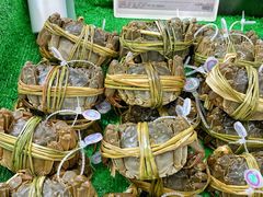 -盒马X会员店(王府井奥莱UP TOWN店)