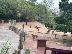 -柳州市动物园