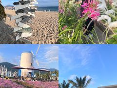 -玫瑰海岸文化旅游度假区
