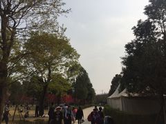 -秀丽东方