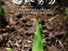 -霸王虾·小龙虾香辣蟹(玉林店)