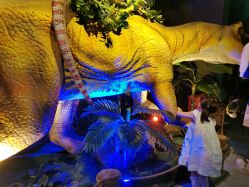 -恐龙探索乐园(磁器口店)