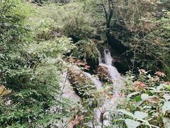 -青城山