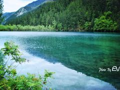 -九寨沟-树正沟