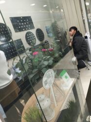 点击看大图 -Wisezone唯点穿耳打耳洞专业国际连锁品牌