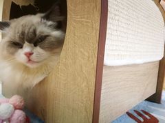 -猫和宫(六道口店)