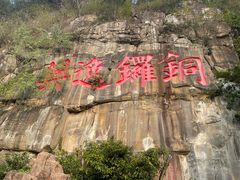 -铁山坪森林公园