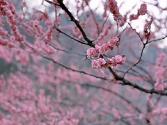 -狼山风景名胜区