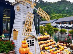 -京北渔家傲