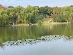-滨湖塘西河公园