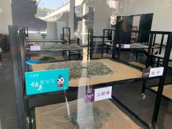 -太湖雪蚕桑文化园