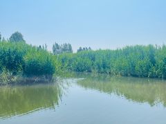 -白洋淀风景区