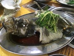 -蚝专家(北滘店)