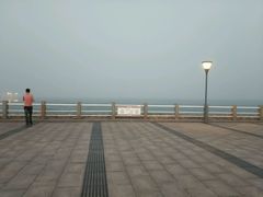 -日照海滨国家森林公园