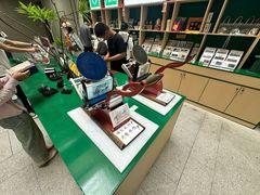 -广西壮族自治区博物馆