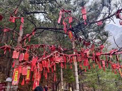 -罗田天堂寨风景区