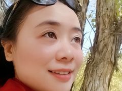 -金塔沙漠胡杨林景区