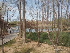 -大兴滨河森林公园