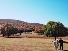 -五角枫生态旅游景区