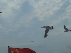 -海驴岛(荣成市)