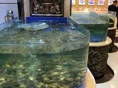 -友鹏海鲜(新宜白大道店)