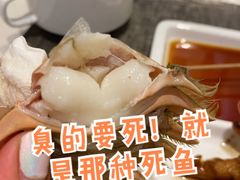 海鲜刺身-嘉兴华美达酒店(秦逸路店)