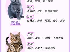 -lincat·猫舍(广州店)