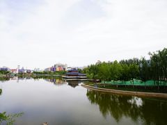 -雁滩公园