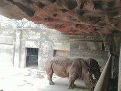 -鄂尔多斯野生动物园