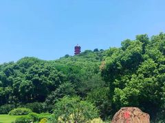 -惠山国家森林公园
