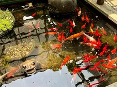 -野蔓果·山野菜(西湖景区·龙井茶田店)