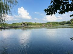 -溱湖国家湿地公园