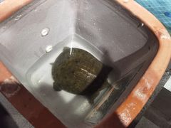 -王捌小院(红花坡店)