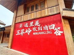 -王莽岭风景区